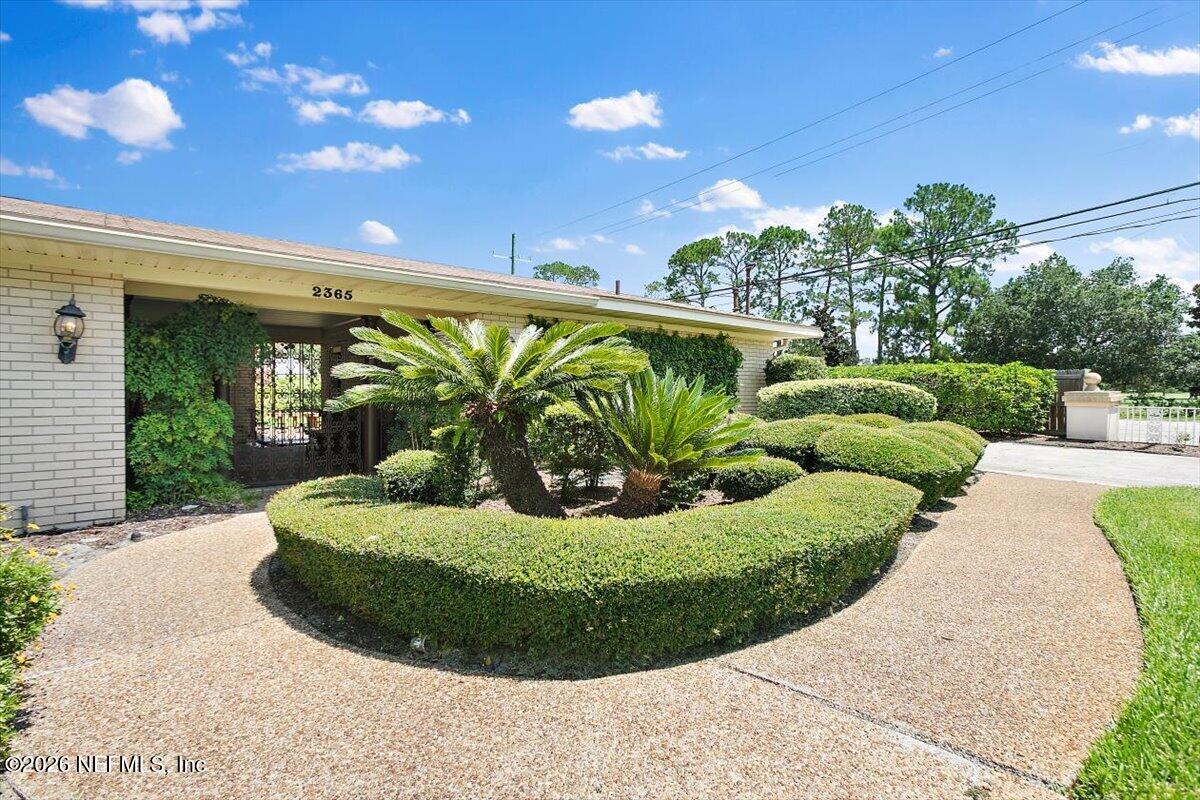 2365 Smullian Trl, Jacksonville, FL 32217 photo
