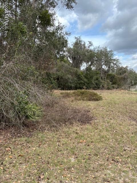 Unimproved Land in Welaka FL 220 OAK RIDGE Drive.jpg