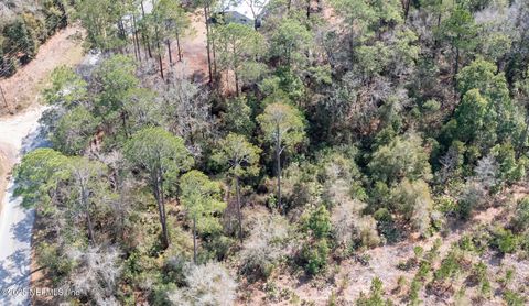 Unimproved Land in Florahome FL 647 & 649 E HILLSBOROUGH Avenue 4.jpg