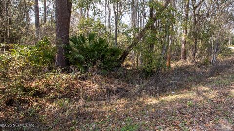 Unimproved Land in Florahome FL 647 & 649 E HILLSBOROUGH Avenue 8.jpg