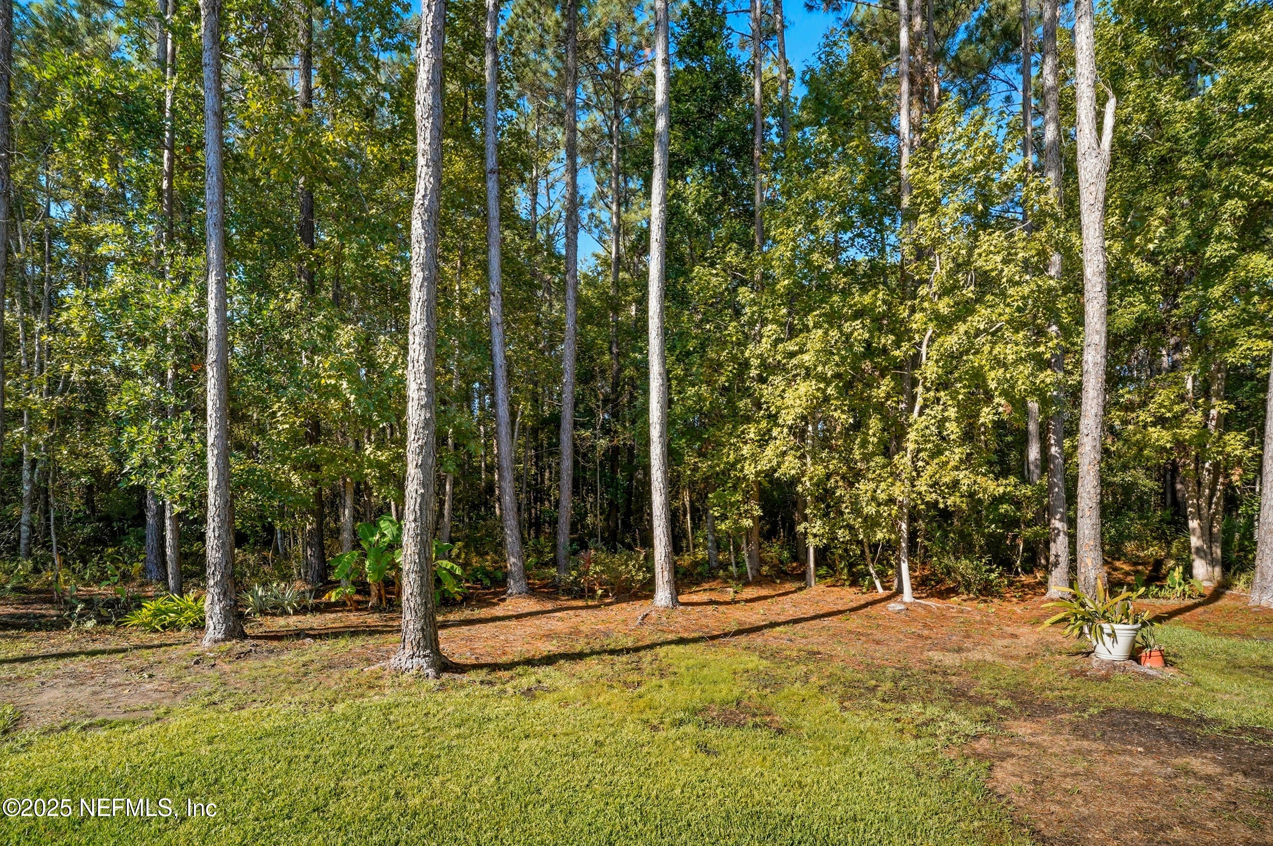 14532 Amelia Cove Dr, Jacksonville, FL 32226 photo