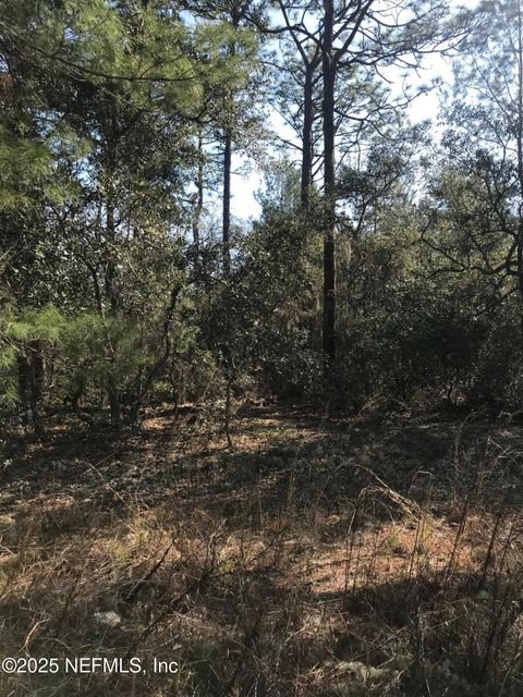 Unimproved Land in Satsuma FL 404 MOURNING DOVE Road.jpg