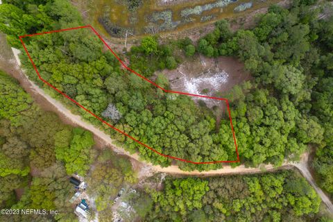 Unimproved Land in Florahome FL 0 NETTLES Road.jpg