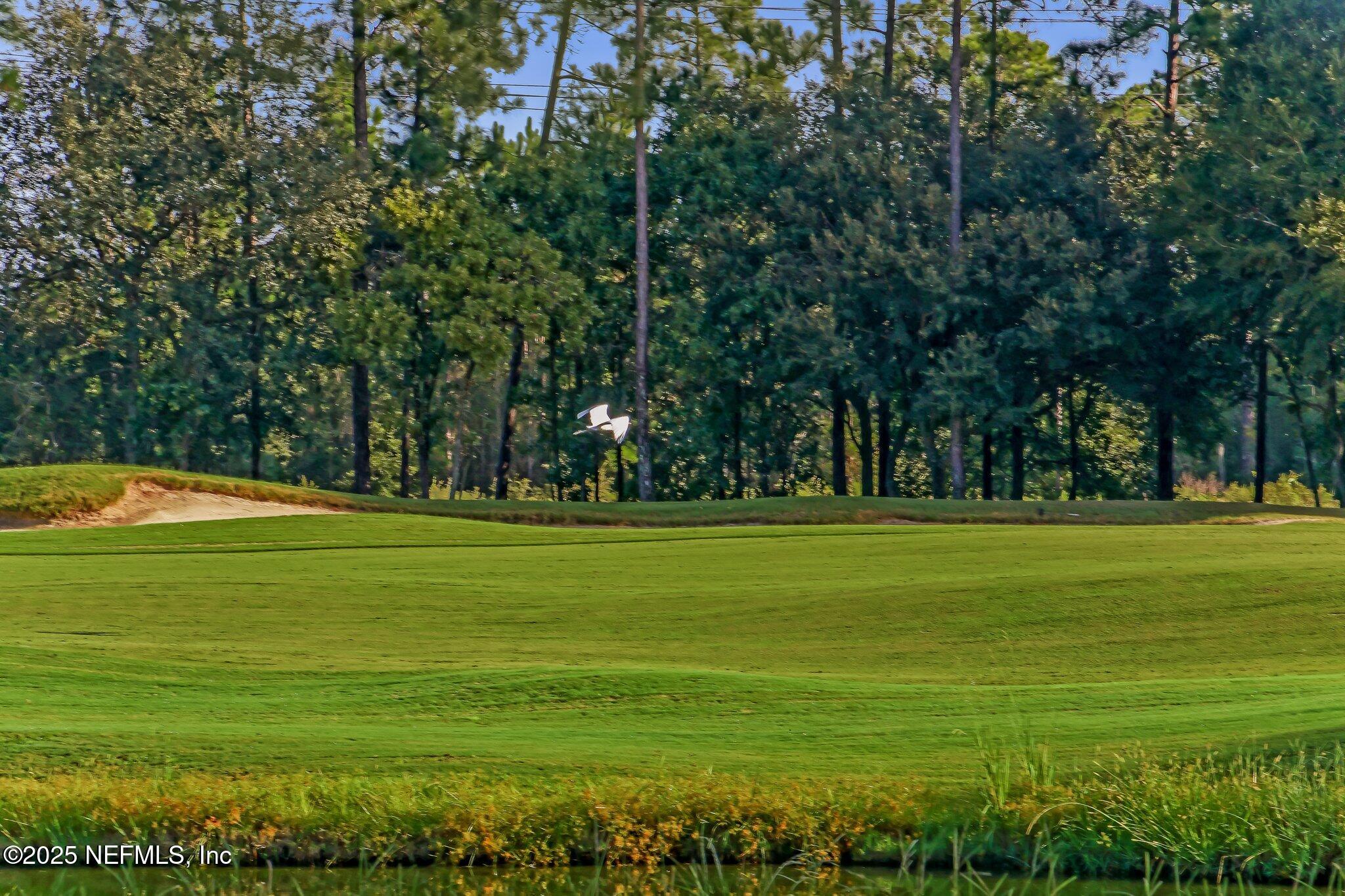 Single Family Residence in Fernandina Beach FL 95150 STARLING Court 100.jpg