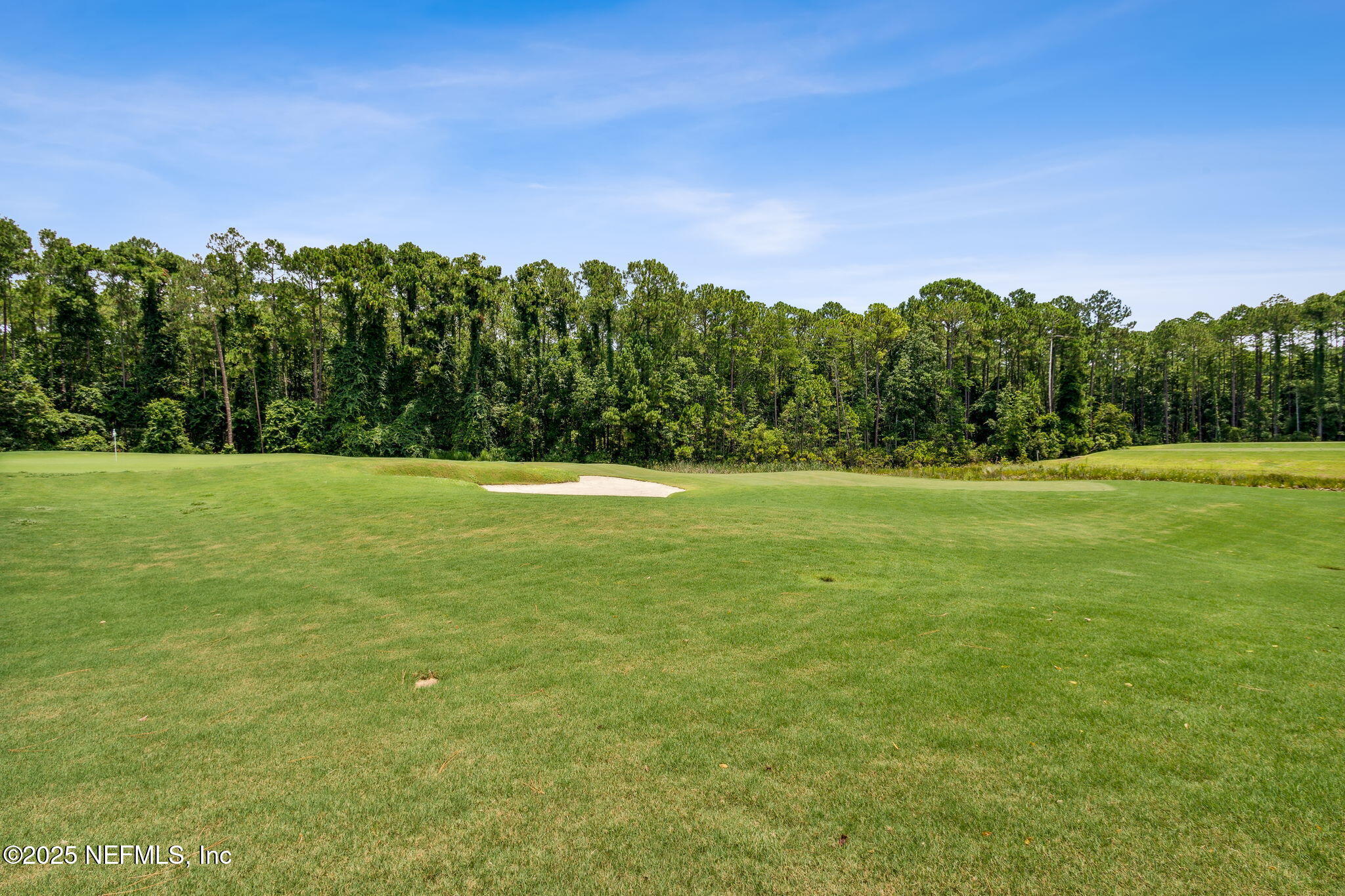 Single Family Residence in Fernandina Beach FL 95150 STARLING Court 82.jpg