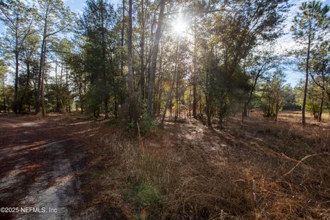 Unimproved Land in Melrose FL 00000 BLAZING STAR Road.jpg