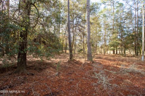Unimproved Land in Melrose FL 00000 BLAZING STAR Road 2.jpg