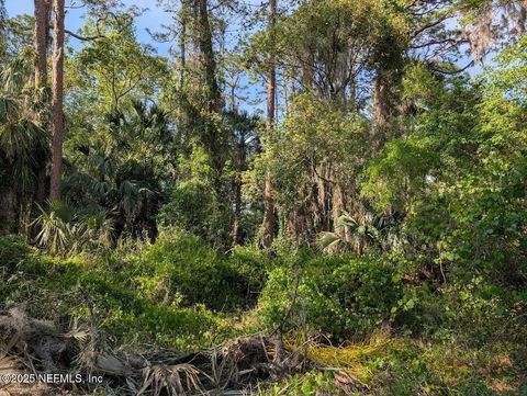 Unimproved Land in Crescent City FL 0 000 CAROL Avenue.jpg