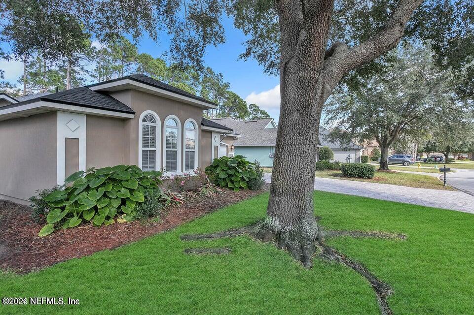 13781 Shady Woods St, Jacksonville, FL 32224 photo