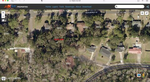 Unimproved Land in Jacksonville FL 0 LAKEMAR Place.jpg