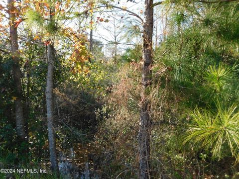 Unimproved Land in Jacksonville FL 0 CLYDE Drive.jpg