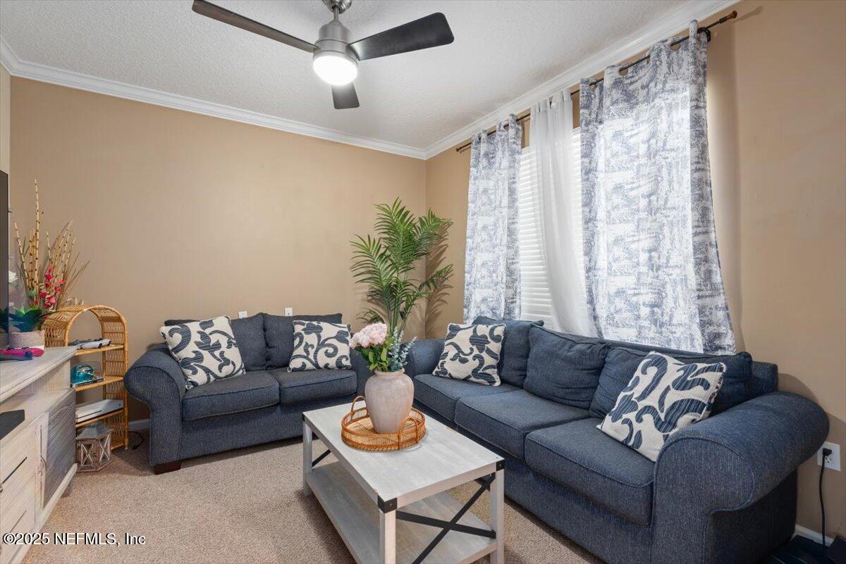 612 Chestwood Chase Dr, Orange Park, FL 32065 photo
