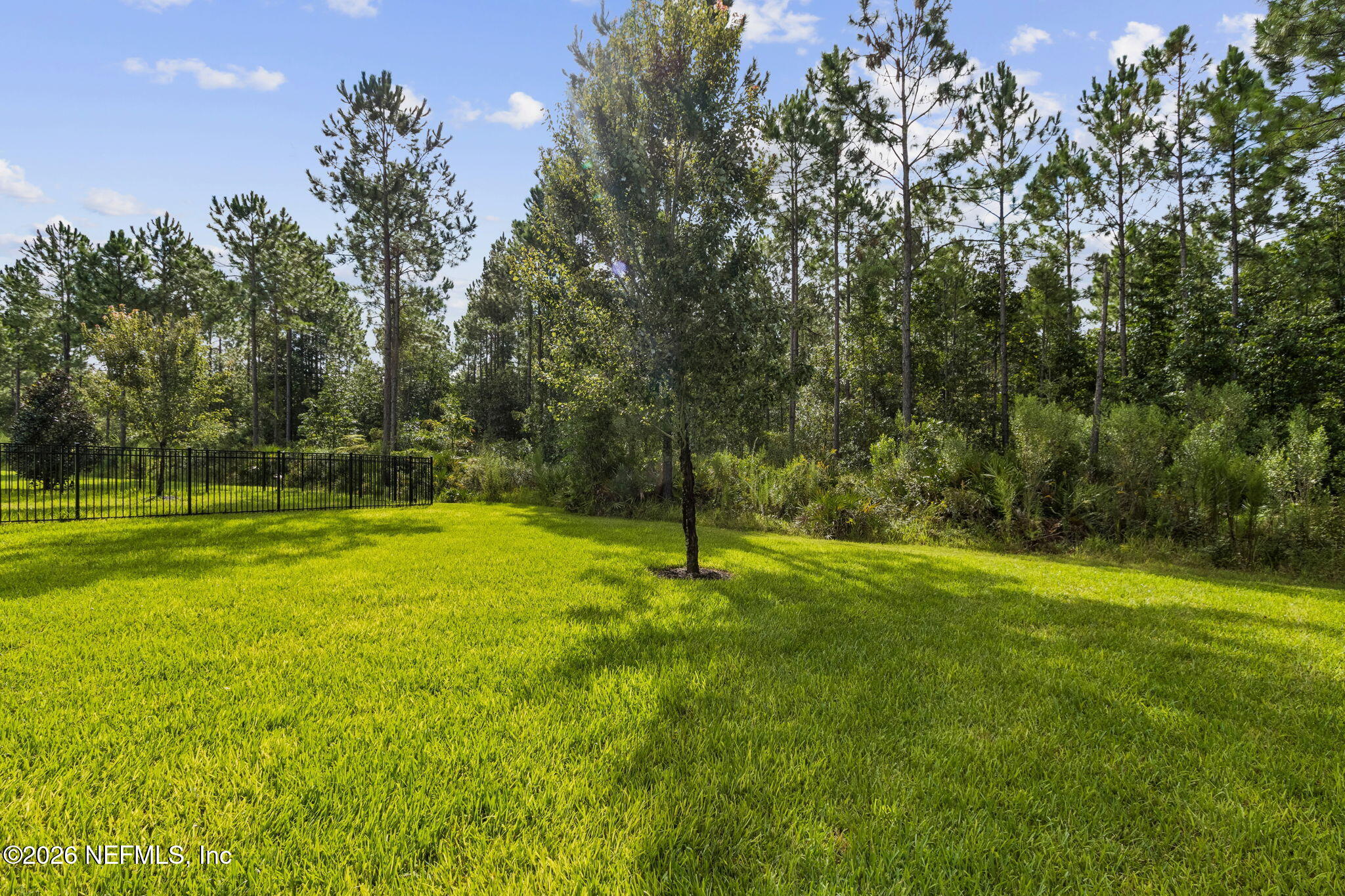 11398 Newtonian Blvd, Jacksonville, FL 32256 photo
