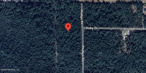 Unimproved Land in Florahome FL 145 PHILLIPS Road.jpg