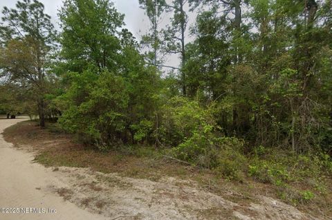 Unimproved Land in Satsuma FL 164 LAKE Circle.jpg