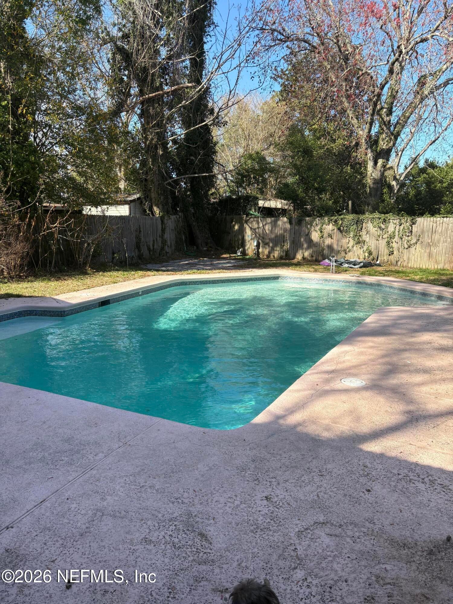 1154 Hickory Cv, Jacksonville, FL 32221 photo