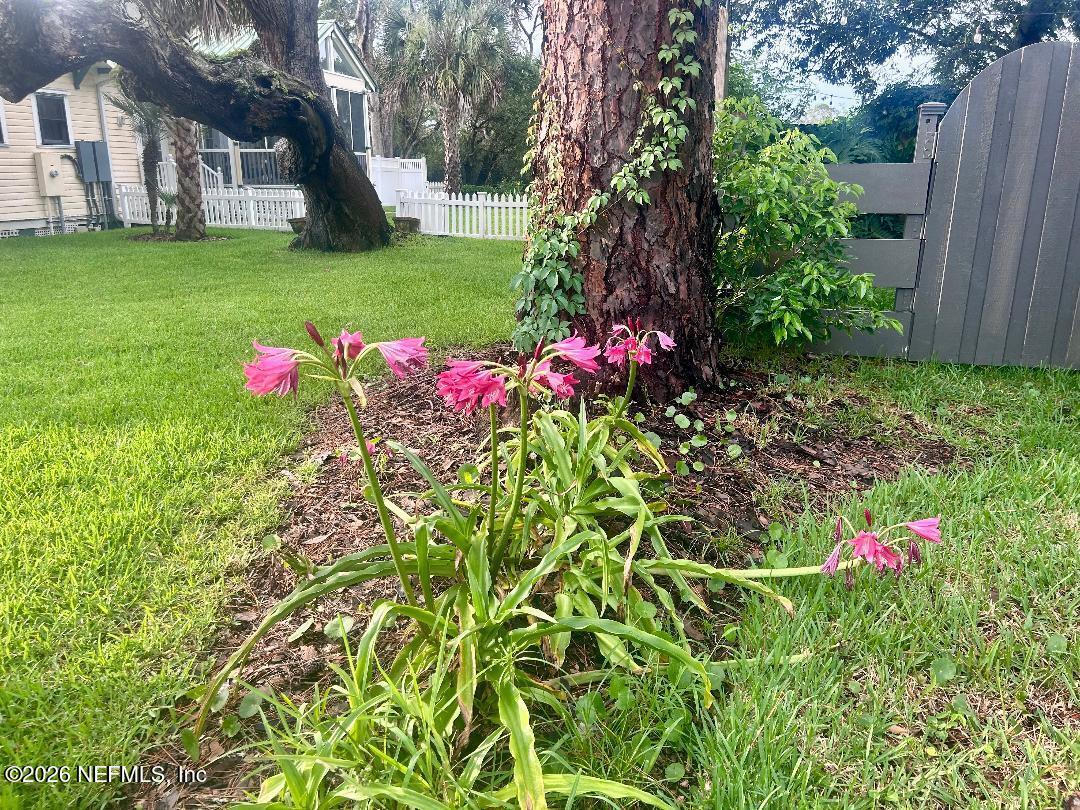 32 E Park Ave, Saint Augustine, FL 32084 photo