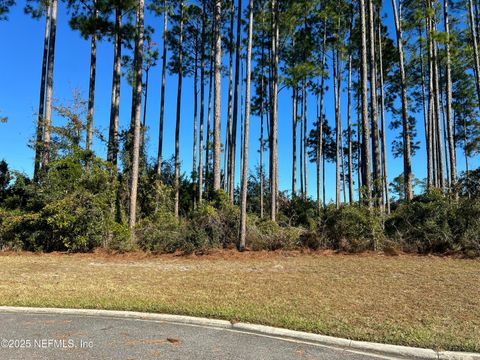 Unimproved Land in Fernandina Beach FL 85282 NAPEAGUE Drive.jpg