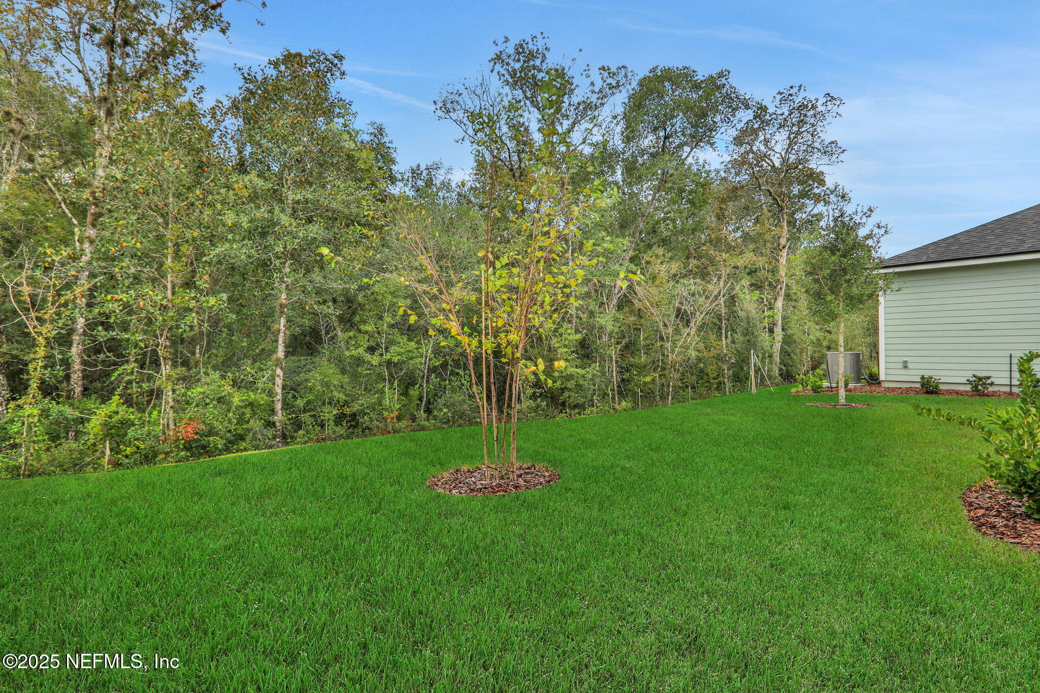 643 Farmfield Dr, Saint Augustine, FL 32092 photo
