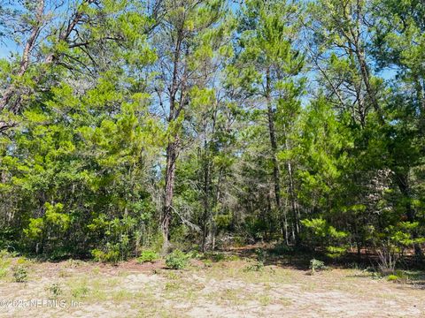 Unimproved Land in Keystone Heights FL 6044 LEHIGH Circle 2.jpg