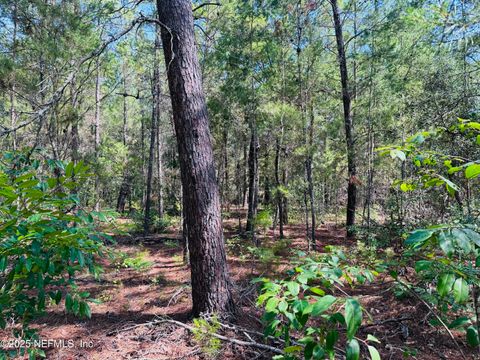 Unimproved Land in Keystone Heights FL 6044 LEHIGH Circle 7.jpg