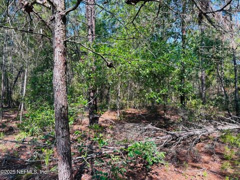 Unimproved Land in Keystone Heights FL 6044 LEHIGH Circle 4.jpg