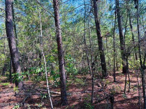 Unimproved Land in Keystone Heights FL 6044 LEHIGH Circle.jpg