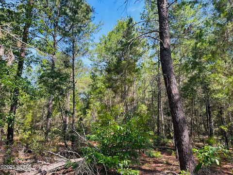 Unimproved Land in Keystone Heights FL 6044 LEHIGH Circle 6.jpg