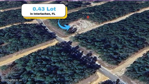 Unimproved Land in Interlachen FL 501 GLORIA Avenue.jpg