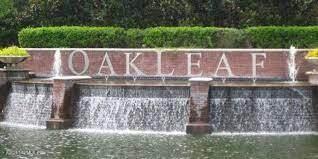 3040 Towers Oaks Dr, Orange Park, FL 32065 photo