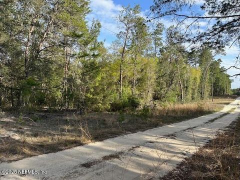 Unimproved Land in Florahome FL 114 DESOTO Street.jpg