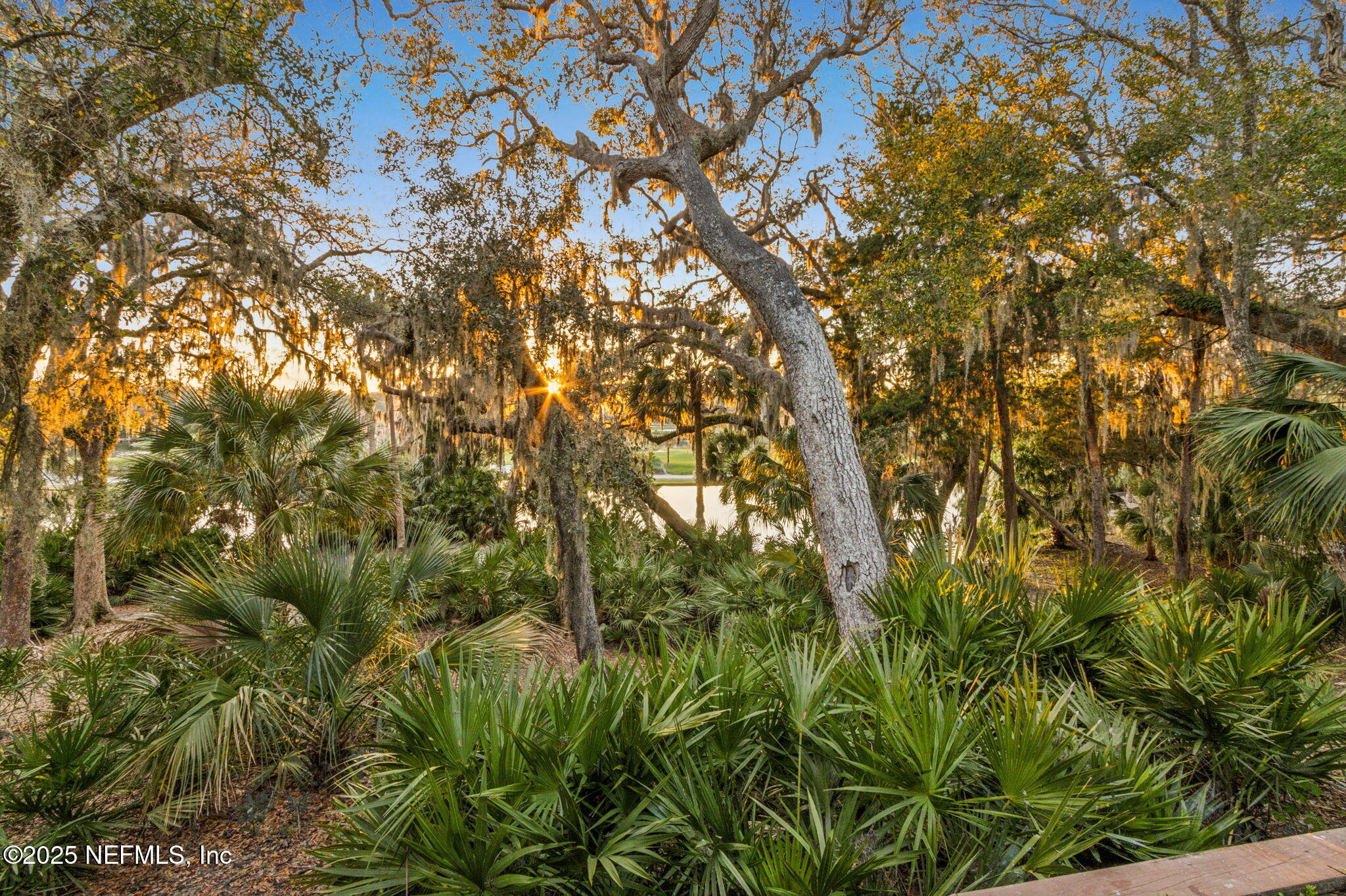 Condominium in Fernandina Beach FL 2055 BEACH WOOD Road 60.jpg