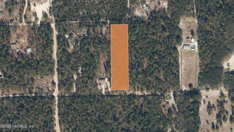 Unimproved Land in Welaka FL 0 GROVE.jpg