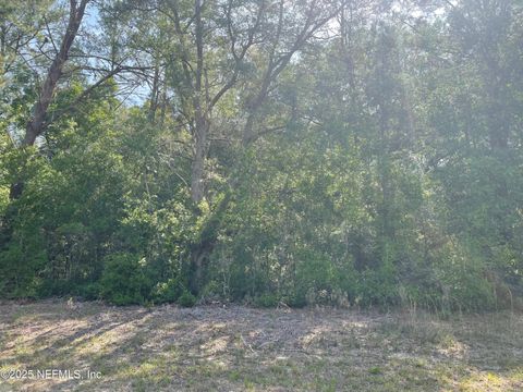 Unimproved Land in Florahome FL 0 SCOTT Road.jpg