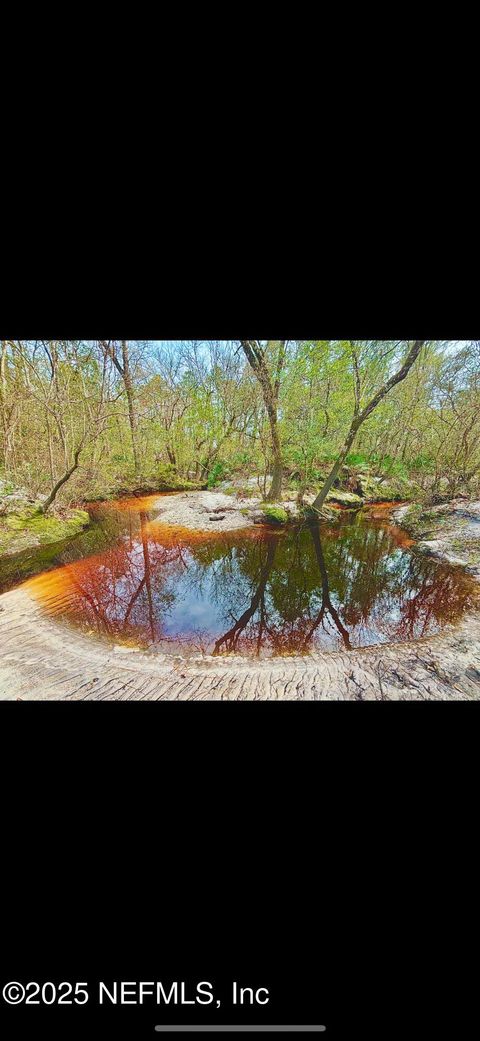 Unimproved Land in Glen St. Mary FL TBA CREWS Road.jpg