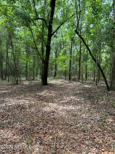 Unimproved Land in Earleton FL 000 NE 211TH Drive.jpg