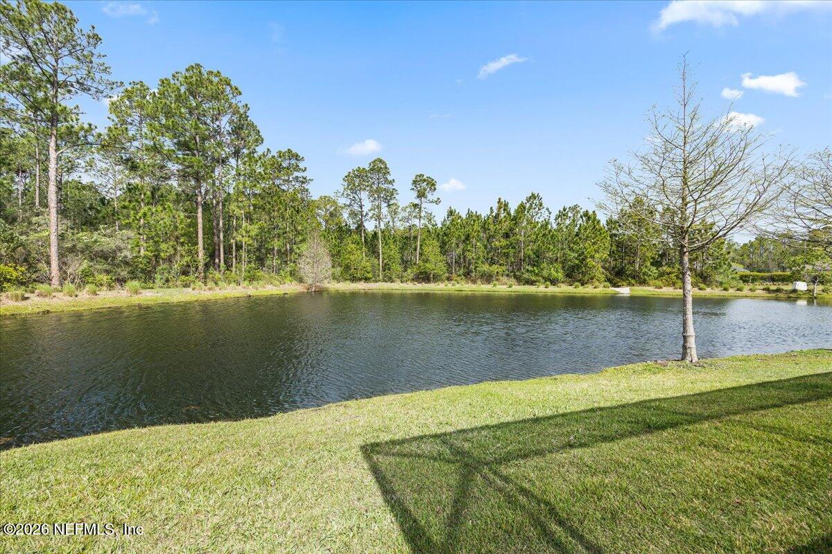 401 Brambly Vine Dr, Saint Johns, FL 32259 photo