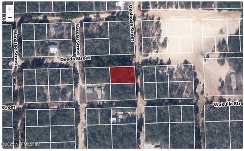 Unimproved Land in Florahome FL 607 DEEDA Street.jpg
