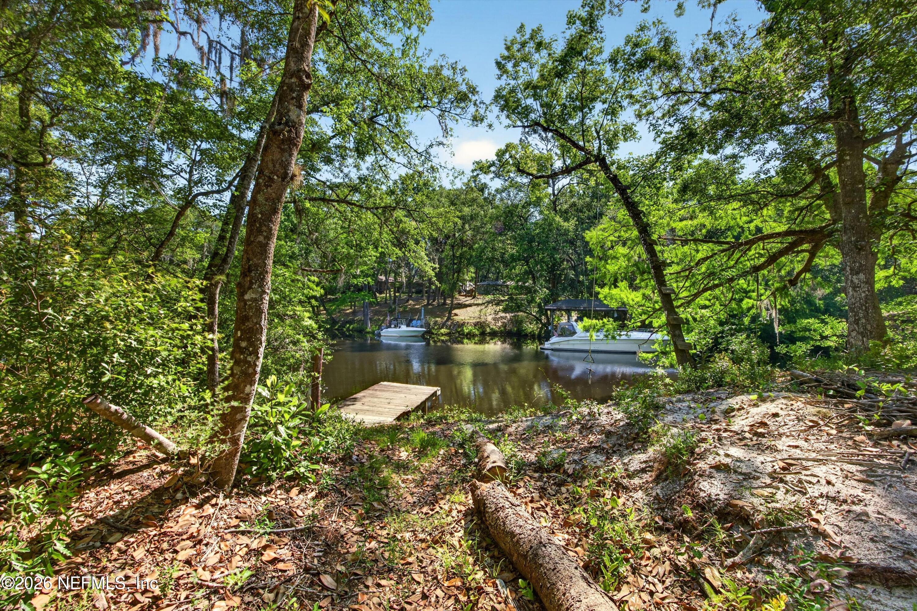 2411 Halperns Way, Middleburg, FL 32068 photo