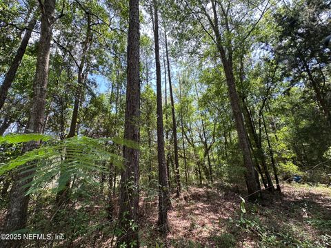 Unimproved Land in Yulee FL 85414 N HARTS Road.jpg