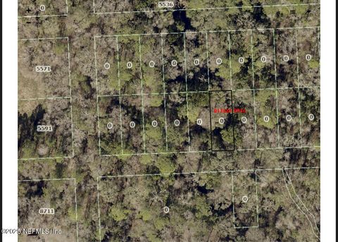 Unimproved Land in Jacksonville FL 0 MAPLE Street.jpg