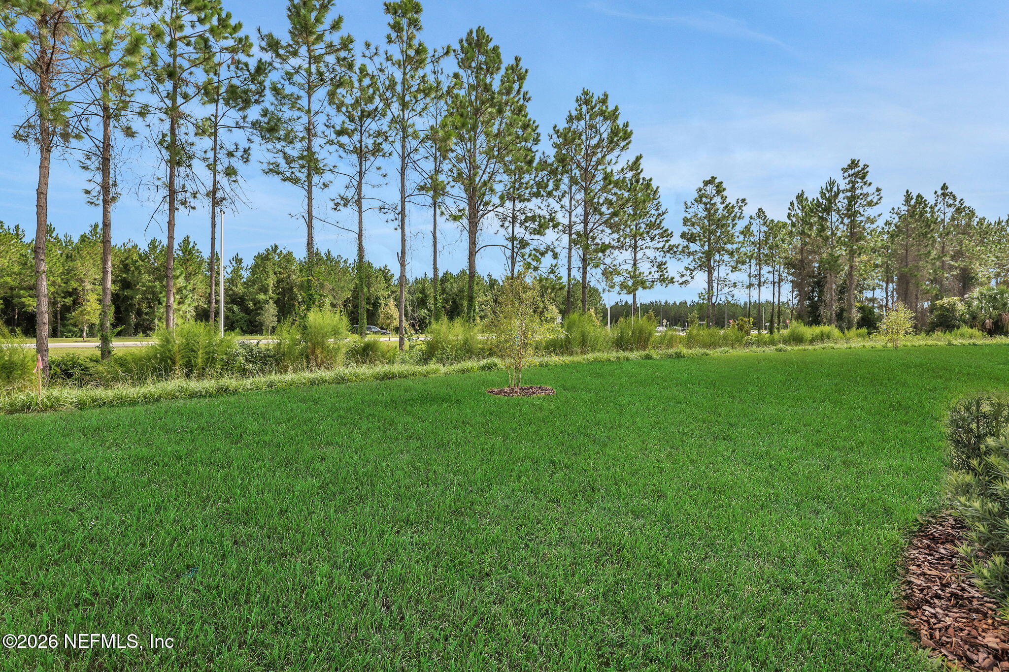 3766 Holstein Way, Green Cove Springs, FL 32043 photo