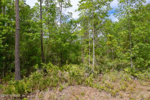 Unimproved Land in Keystone Heights FL 4431 BONDARENKO Road 4.jpg