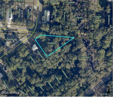 Unimproved Land in St. Augustine FL 963 BROWN Street.jpg
