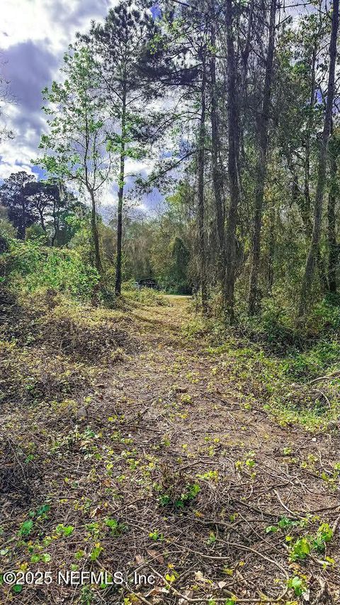 Unimproved Land in Florahome FL 266 LAKE Drive 14.jpg