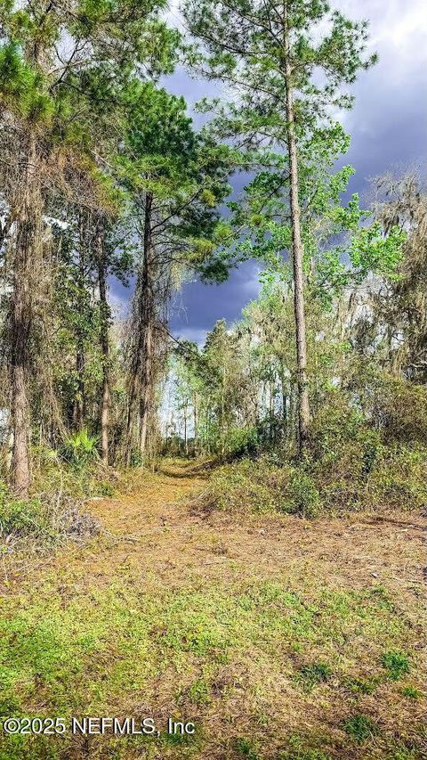 Unimproved Land in Florahome FL 266 LAKE Drive 12.jpg