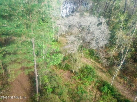 Unimproved Land in Florahome FL 266 LAKE Drive 10.jpg