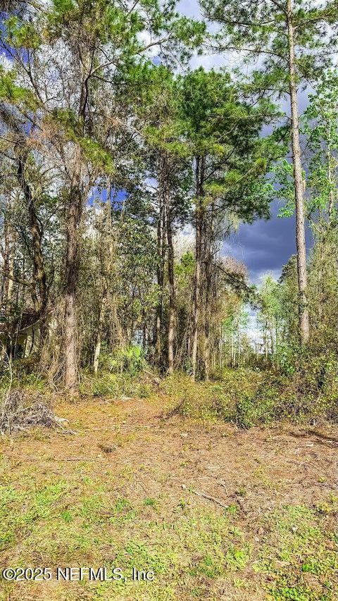 Unimproved Land in Florahome FL 266 LAKE Drive 13.jpg