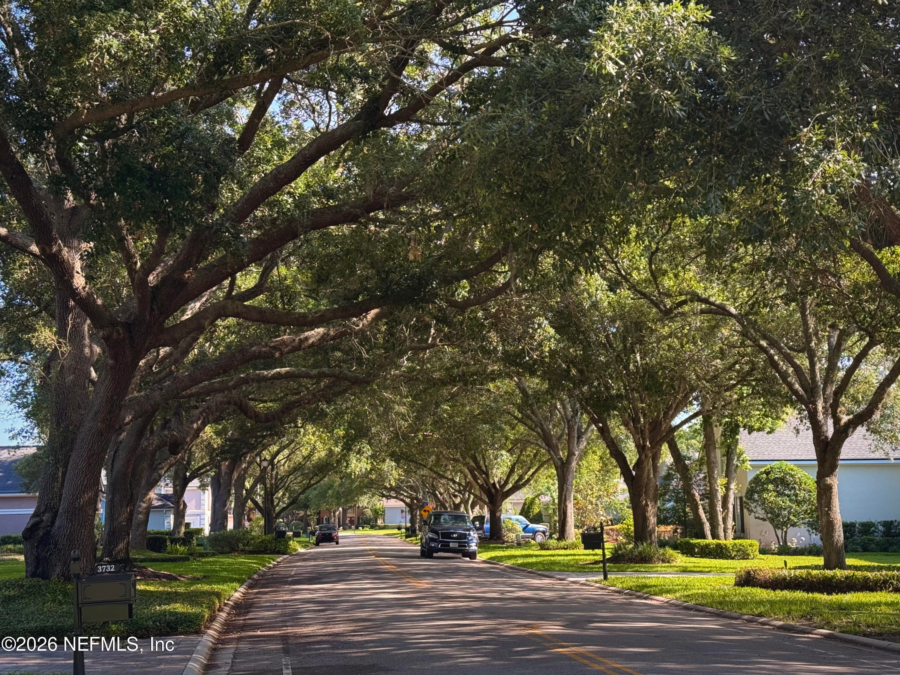 3740 Wexford Hollow Rd, Jacksonville, FL 32224 photo